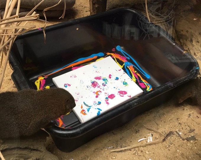 ZooFingerPaint.jpg