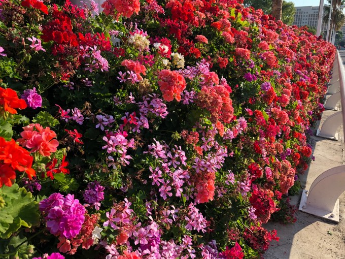 14 Suprises Awaiting You In Turia Park Nature