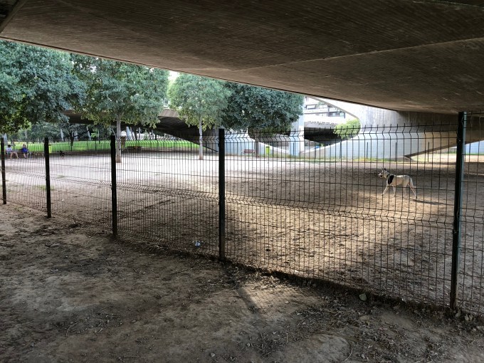 14 Suprises Awaiting You In Turia Park Dog Parks