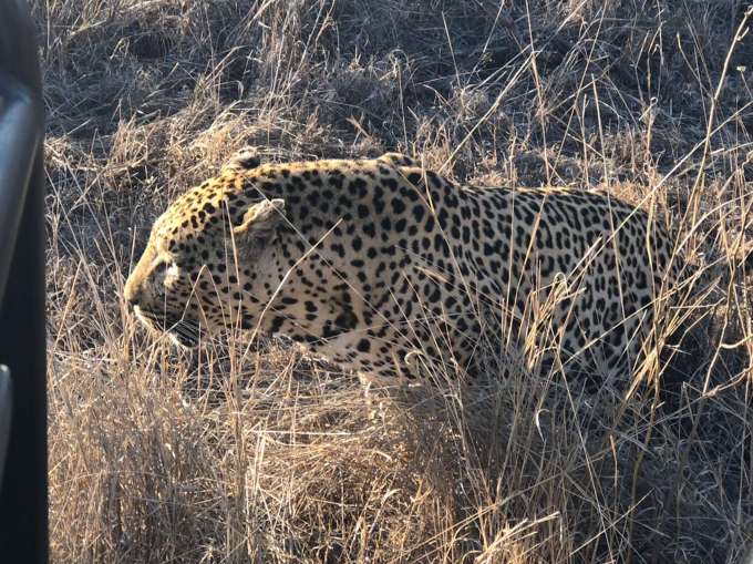 Why-You-Need-to-Step-Out-of-Your-Comfort-Zone-3